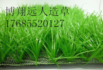 足球场单丝1_副本
