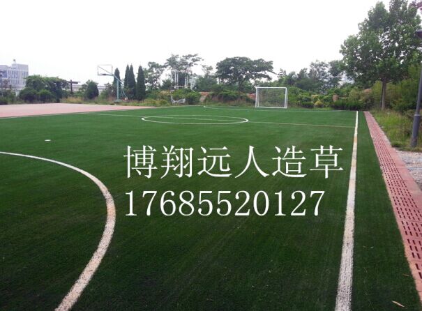 单丝1