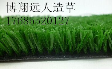 美佳网丝15_副本
