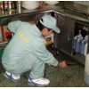 上海灭跳蚤公司奔奔虫害防治服务公司