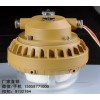 SBD1110-YQL40免维护节能防爆灯