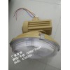 SBD1105-YQL120免维护节能防爆灯
