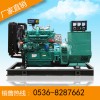厂家直供40KW全铜有刷柴油发电机组违反发电机全国联保