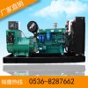 供应潍柴柴油发电机组250kw山东发电机