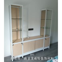 南京环保展示柜