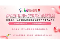 2023年第六届沈阳孕婴童产品博览会