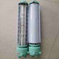热销供应DGS18W24W36W 隔爆型荧光灯