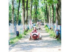 苏州青少年暑期夏令营丛林穿越户外拓展体育探索体验营活动报名中图2