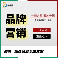 全网品牌塑造营销推广公司-常德八零后网络