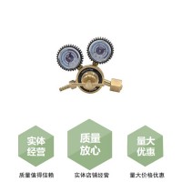 八保险系列减压器 YQY-08氧气减压器