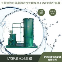 LYSF-0.5-1-2-3-5 油水分离器 油污水分离器