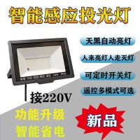光控感应投光灯220V超亮户外投光灯天黑自动亮
