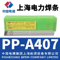 上海电力牌PP-A407不锈钢焊条E310-15不锈钢电焊条