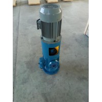 HTSNS280-43系列螺杆泵