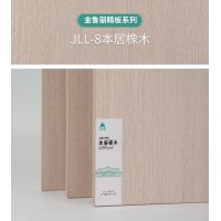 JLL-10文承科技