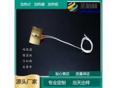 供应PI电热膜 PI加热膜 耐高温PI加热片 圣柏林热销推荐图2