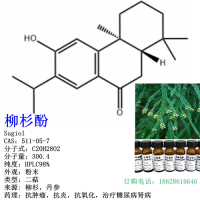 柳杉酚 Sugiol CAS：511-05-7